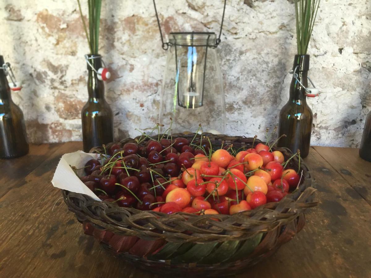 Domaine De Brousson Bed & Breakfast La Tour-sur-Orb Bagian luar foto
