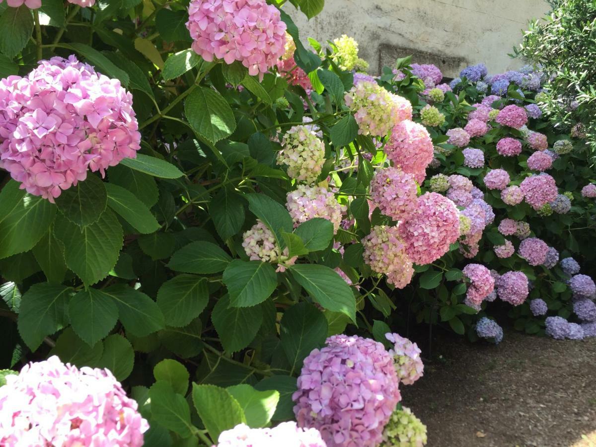 Domaine De Brousson Bed & Breakfast La Tour-sur-Orb Bagian luar foto