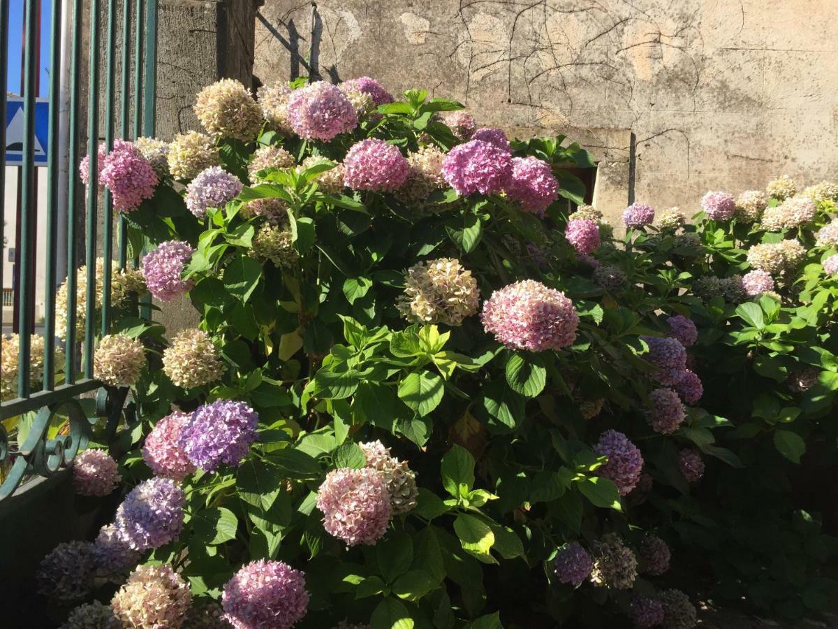 Domaine De Brousson Bed & Breakfast La Tour-sur-Orb Bagian luar foto